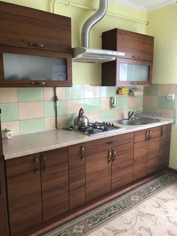 Appartement Ярдана à Skhidnytsia Extérieur photo